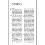 NIV Personal Size Bible Large Print Brown (Comfort Print)(Imitation Leather) - Image 3