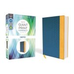 NIV Compact Giant Print Red Letter Bible For Boys Blue (Comfort Print)(Imitation Leather) - Image 2