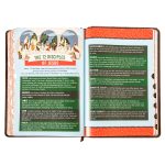 KJV Brown Lion Faux Leather Flexcover Kids Bible Large Print - Image 14