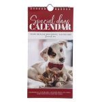 Plans to Prosper You Pets Design Special Days Calendar - Image 4