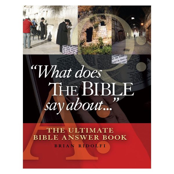 What Does the Bible Say About: The Ultimate Bible Answer Book (Hardcover) - Image 3