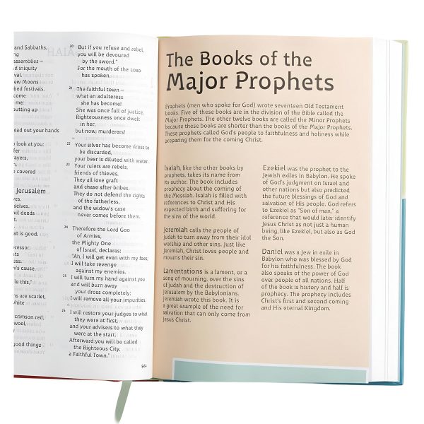 CSB Hardcover Grace Dyslexia Friendly Bible for Kids - Image 10
