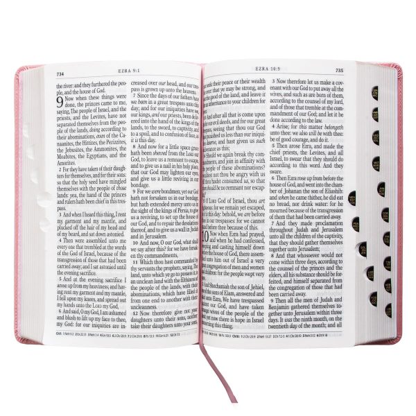 KJV Pink Faux Leather Bible Giant Print - Image 20