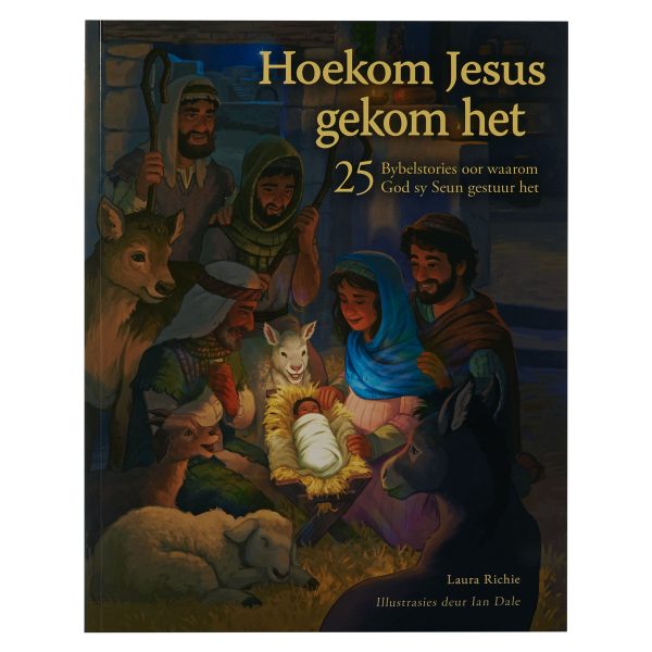 Hoekom Jesus Gekom Het: 25 Bybelstories Oor Waarom God Sy Seun Gestuur Het (Sagteband) - Image 15