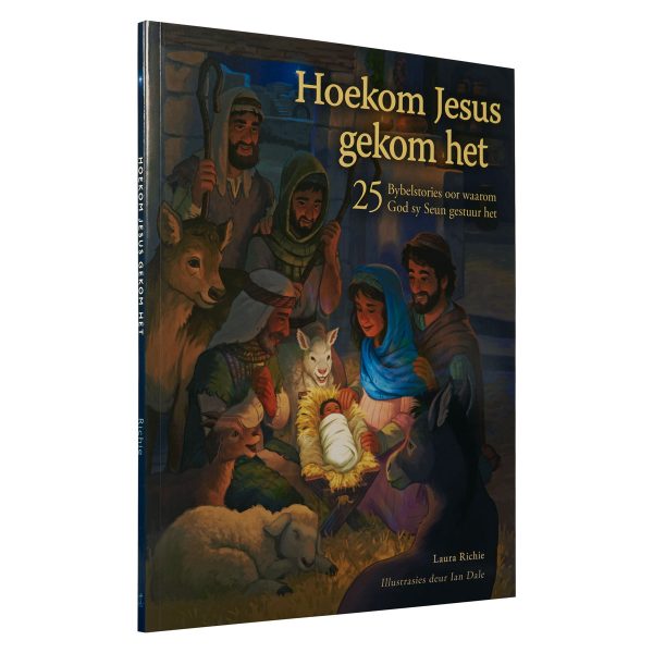 Hoekom Jesus Gekom Het: 25 Bybelstories Oor Waarom God Sy Seun Gestuur Het (Sagteband) - Image 17