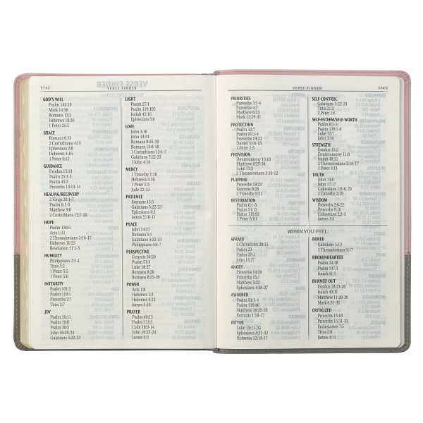 KJV Pink And Grey Faux Leather Bible Super Giant Print - Image 20