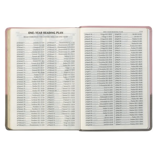 KJV Pink And Grey Faux Leather Bible Super Giant Print - Image 21
