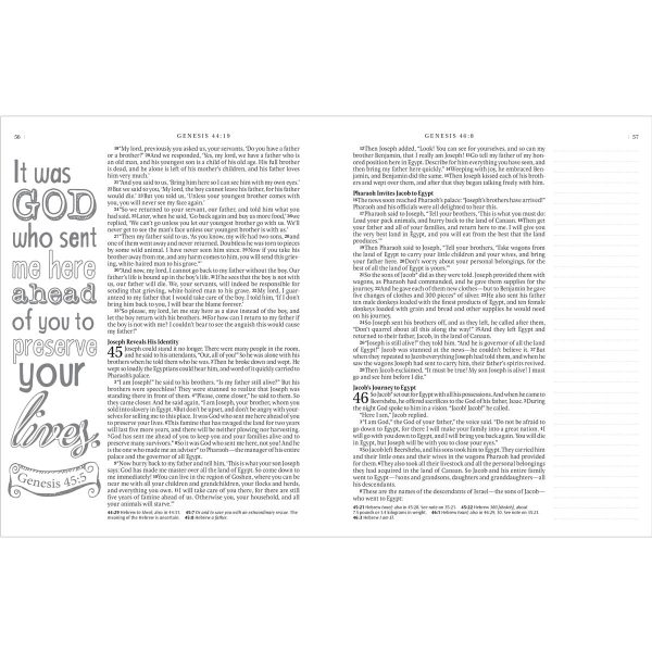 NLT Blue Faux Leather Hardcover Inspire Bible - Image 12