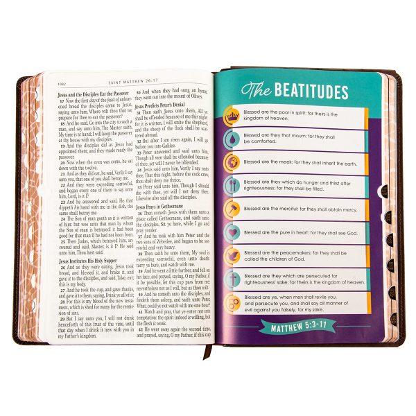 KJV Brown Lion Faux Leather Flexcover Kids Bible Large Print - Image 20