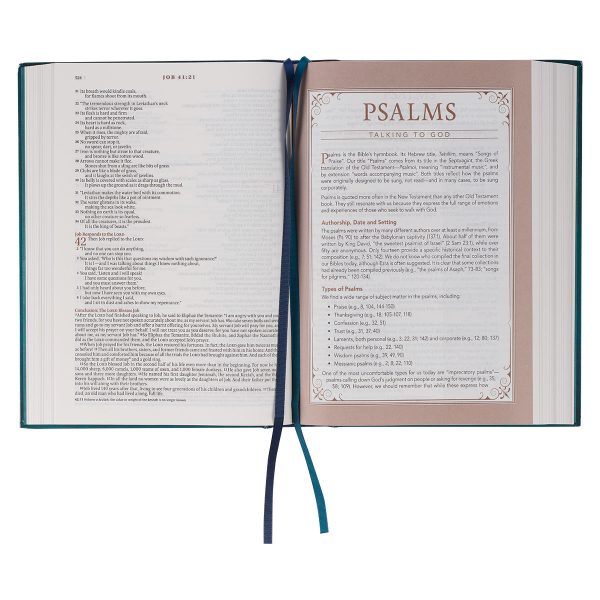 NLT The Spiritual Growth Bible Teal Hardcover - Image 21