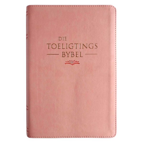 NLV Salm Kunsleer Toeligtingsbybel - Image 11