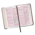 KJV Tan & Brown Faux Leather Standard Bible Giant Print Red Letter - Image 20
