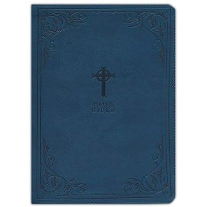 NRSV Catholic Gift Edition Teal (Comfort Print)(Imitation Leather)
