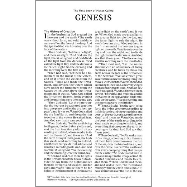NKJV Holy Bible For Kids Brown (Comfort Print)(Imitation Leather) - Image 4