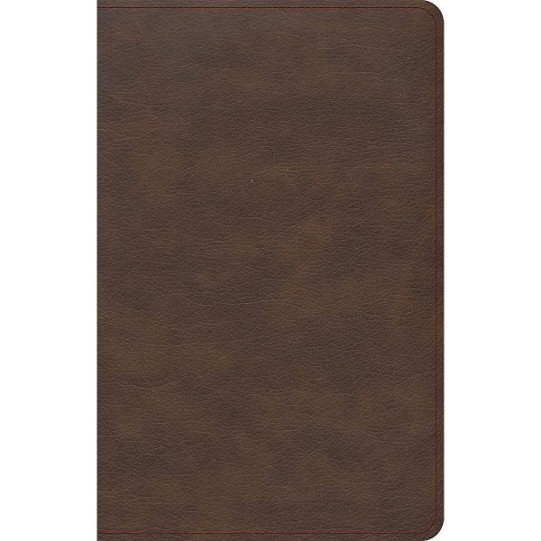 KJV Single-Column Compact Bible Brown (Imitation Leather) - Image 2