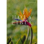 NRSV Bird of Paradise Paperback Catholic Edition Holy Bible Global Cover Series - Image 3