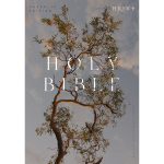 NRSV Eucalyptus Paperback Catholic Edition Holy Bible Global Cover Series - Image 3