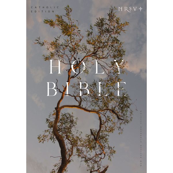 NRSV Eucalyptus Paperback Catholic Edition Holy Bible Global Cover Series - Image 3
