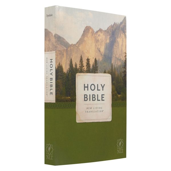 NLT Economy Outreach Bible (Paperback) - Image 15