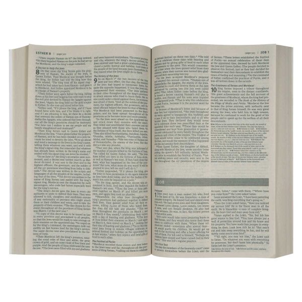 NLT Economy Outreach Bible (Paperback) - Image 18
