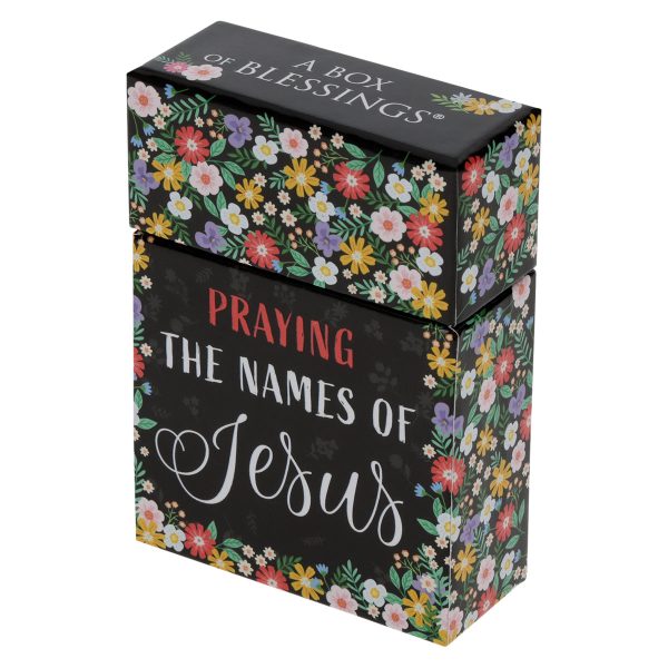 Praying the Names of Jesus Boxed Cards - Image 17