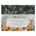 Kosbaar vir Hom: Bevestigings vir Vroue van Geloof Afrikaans Coloring Boxed Cards - Image 14