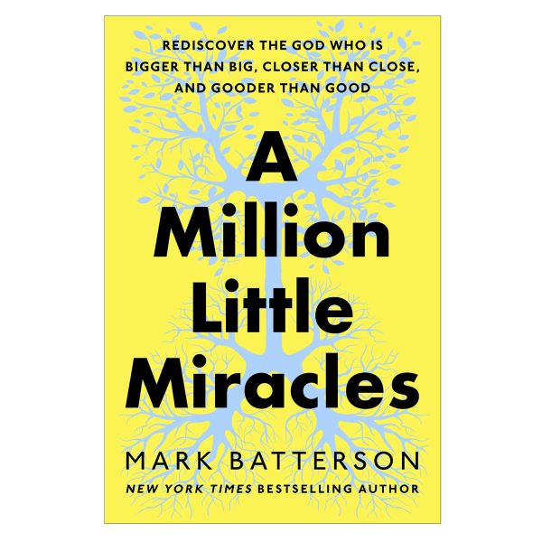 A Million Little Miracles: Rediscover the God Who Is Bigger than Big HC - Image 4
