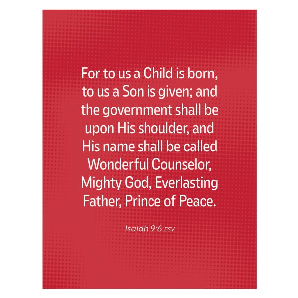 Would You Rather?: Bible-Based Conversation Starters for Families Boxed Cards - Image 12