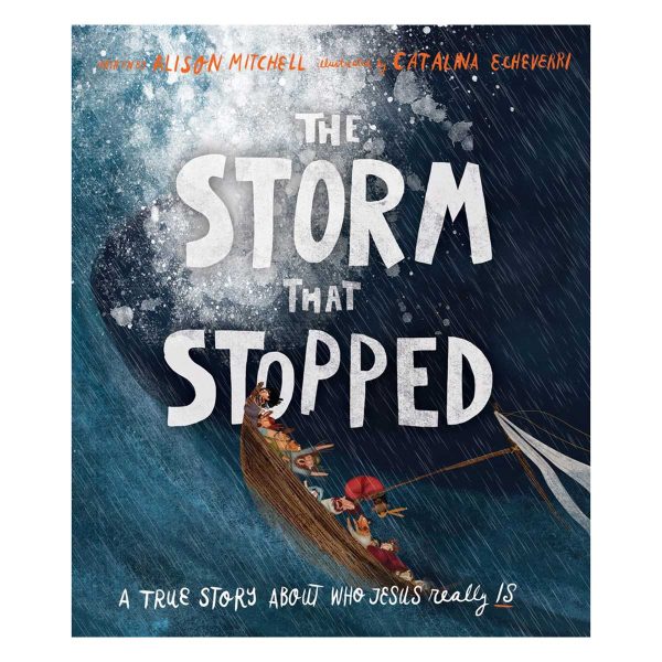 The Storm That Stopped - Tales That Tell the Truth Book 10 (Hardcover) - Image 12