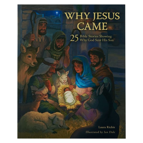 Why Jesus Came: 25 Bible Stories Showing Why God Sent His Son (Paperback) - Image 21