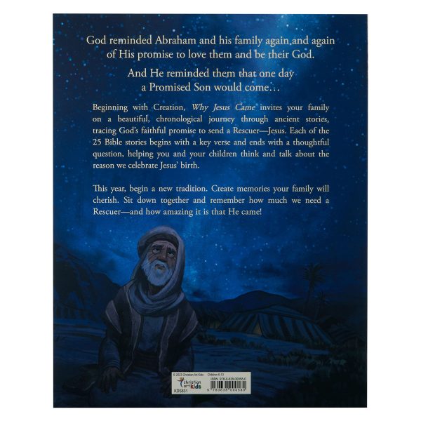 Why Jesus Came: 25 Bible Stories Showing Why God Sent His Son (Paperback) - Image 22