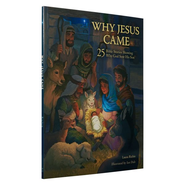 Why Jesus Came: 25 Bible Stories Showing Why God Sent His Son (Paperback) - Image 23
