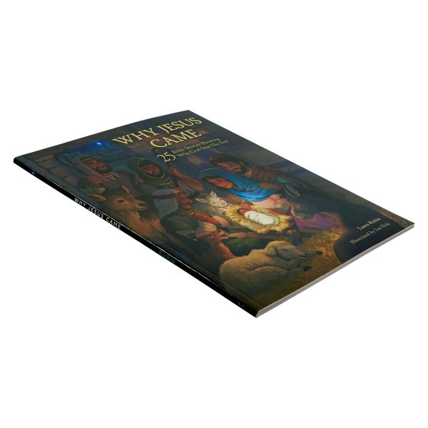 Why Jesus Came: 25 Bible Stories Showing Why God Sent His Son (Paperback) - Image 24