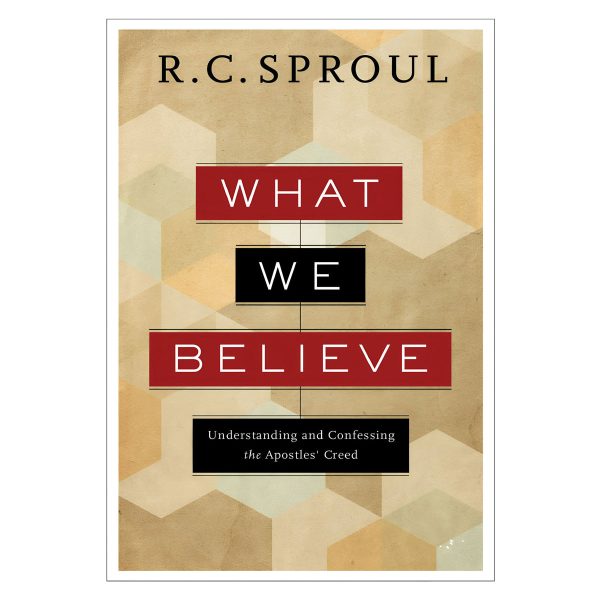 What We Believe: Understanding and Confessing the Apostles' Creed (Paperback) - Image 4