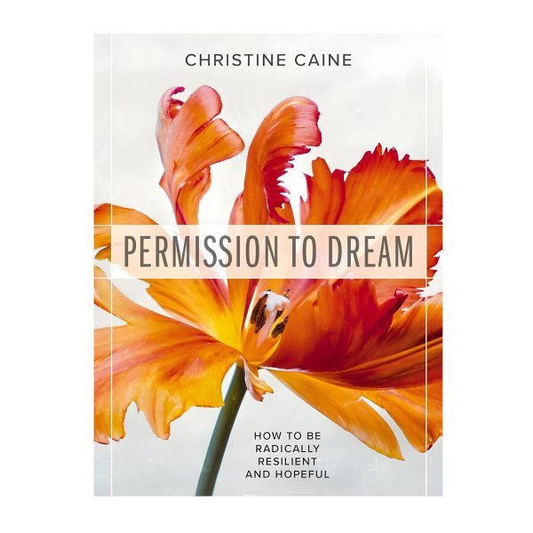 Permission to Dream: How to be Radically Resilient and Hopeful (Paperback) - Image 4
