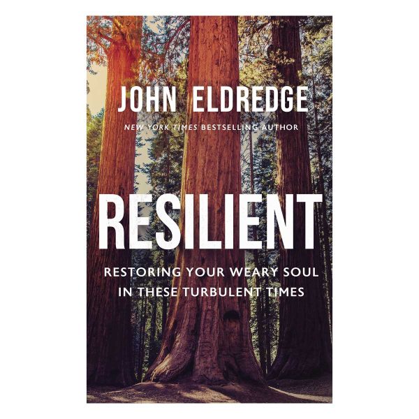Resilient: Restoring Your Weary Soul In Turbulent Times (Paperback) - Image 7