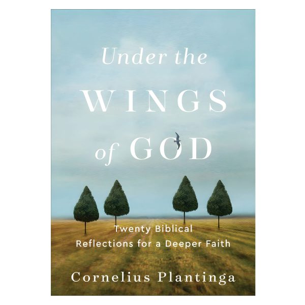 Under The Wings Of God: Twenty Biblical Reflections For A Deeper Faith (Paperback) - Image 4