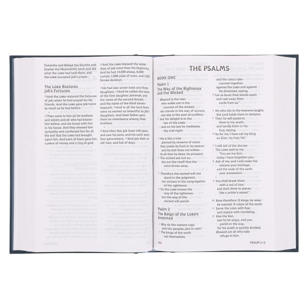 ESV Hardcover Dyslexia-Friendly Edition Holy Bible - Image 12