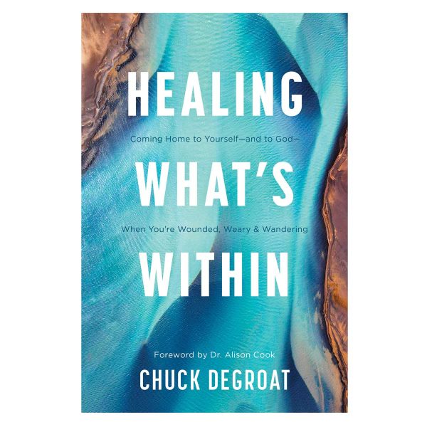 Healing What’s Within: Coming Home to Yourself & to God when You're Wounded Weary & Wandering PB - Image 4
