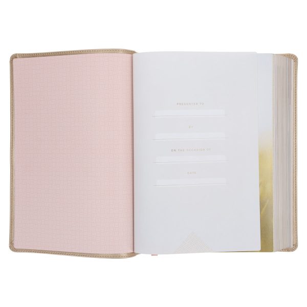 NLT Soft Gold Imitation Leather Filament Enabled Every Woman’s Bible - Image 10