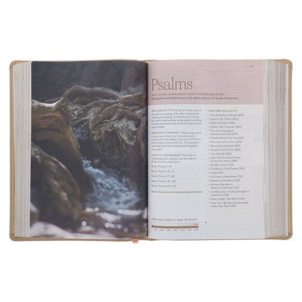 NLT Soft Gold Imitation Leather Filament Enabled Every Woman’s Bible - Image 11