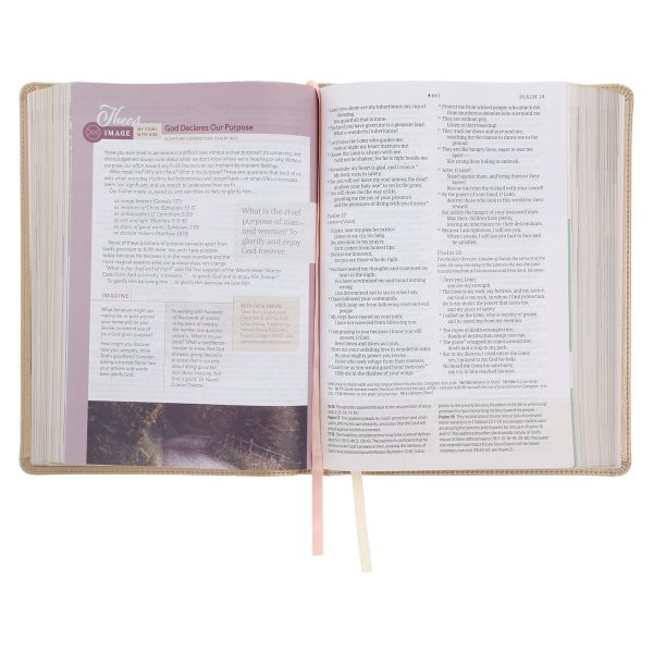 NLT Soft Gold Imitation Leather Filament Enabled Every Woman’s Bible - Image 12