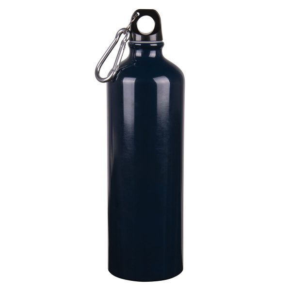 Let Your Dreams Take Flight Aluminium Water Bottle with Carabiner - Image 14