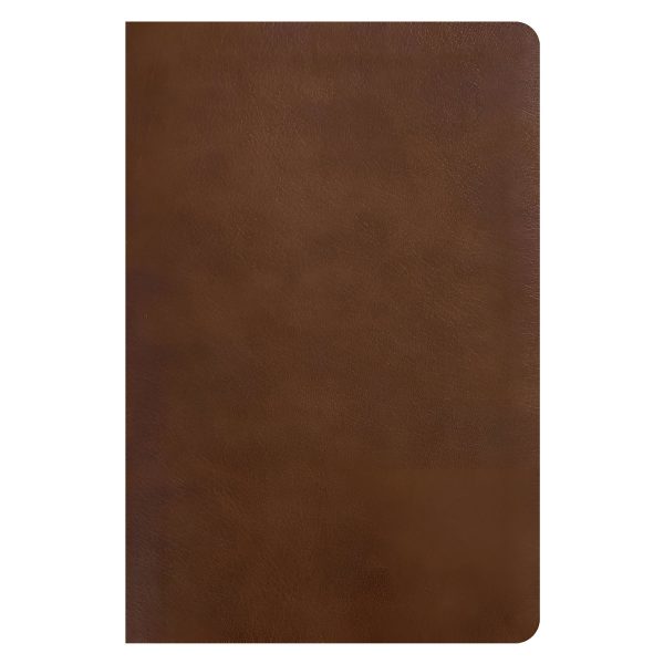 NLT Rustic Brown Imitation Leather One Year Chronological Study Bible - Image 11