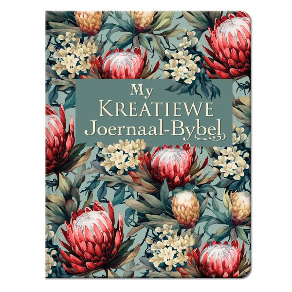 NLV Proteas Kunsleer My Kreatiewe Joernaal-Bybel - Image 11