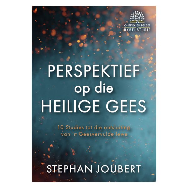 Perspektief op die Heilige Gees (Sagteband) - Image 7
