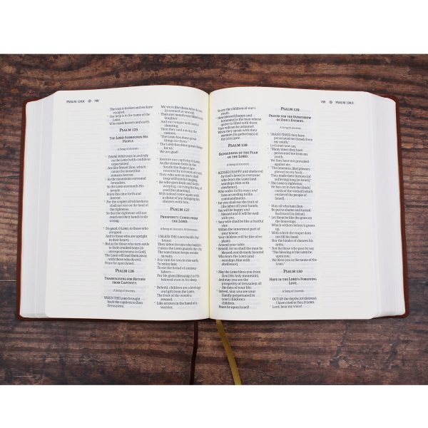 Amplified Brown Imitation Leather Journal the Word Bible - Image 18