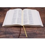 Amplified Brown Imitation Leather Journal the Word Bible - Image 19