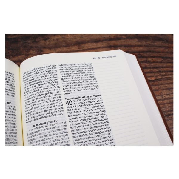 Amplified Brown Imitation Leather Journal the Word Bible - Image 20