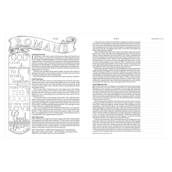 NLT Floral Fields Faux Leather Inspire Large Print Filament-Enabled Bible - Image 23